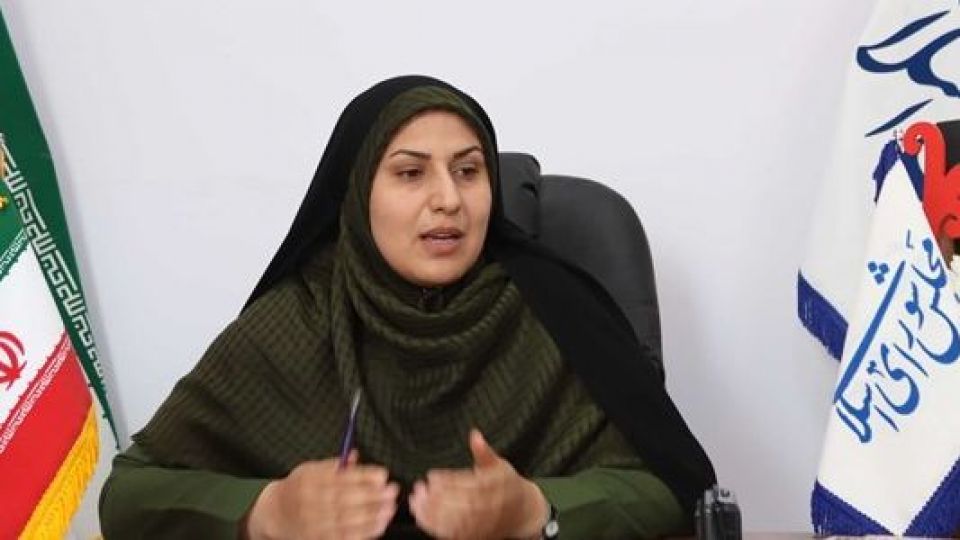 اعتبارنامه تاجگردون یا مجلس یازدهم؟/ نمایندگان از &laquo;تصمیم گیری&raquo; دردسر ساز می&zwnj;گویند