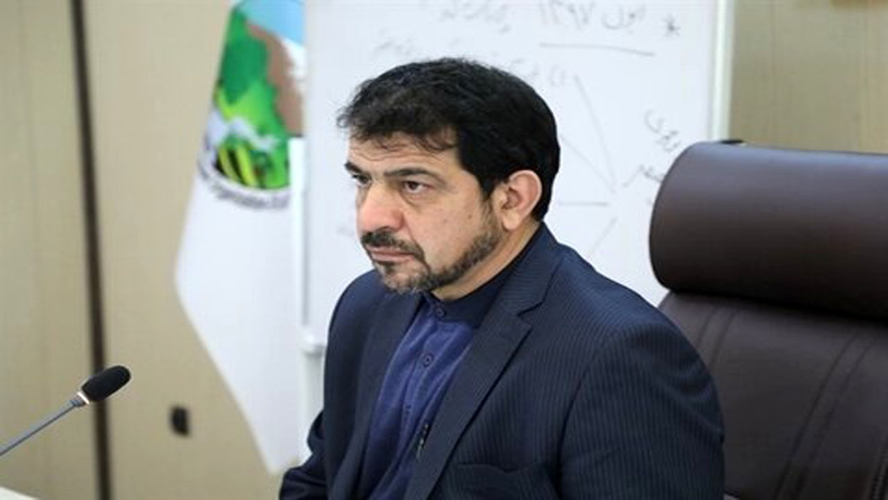 زراعت چوب امسال در ۳۰ هزارهکتار انجام می‌شود