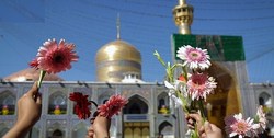 باشگاه خبرنگاران -حجت الاسلام مروی: فقط صحن های حرم امام رضا باز هستند