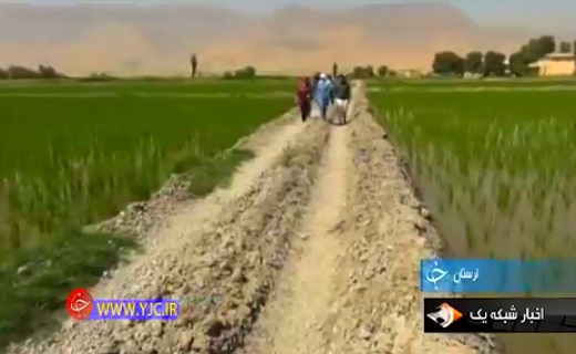 عشق و علاقه به کشاورزی بانوی تهرانی را روانه امیرآباد کرد+فیلم