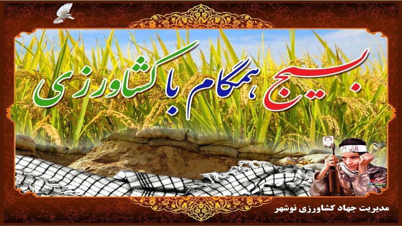اجرای طرح بسیج همگام با کشاورز در نوشهر