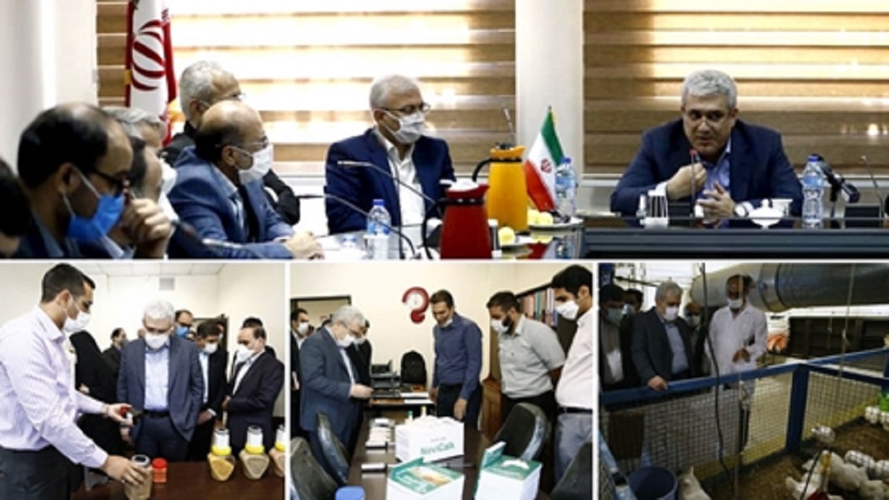 شکل‌گیری زیست‌بوم فناوری در حوزه تحقیقات دامی ضروری است