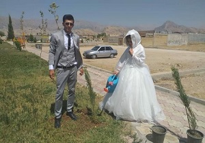 آغاز زندگی مشترک با کاشت ۲ اصله نهال