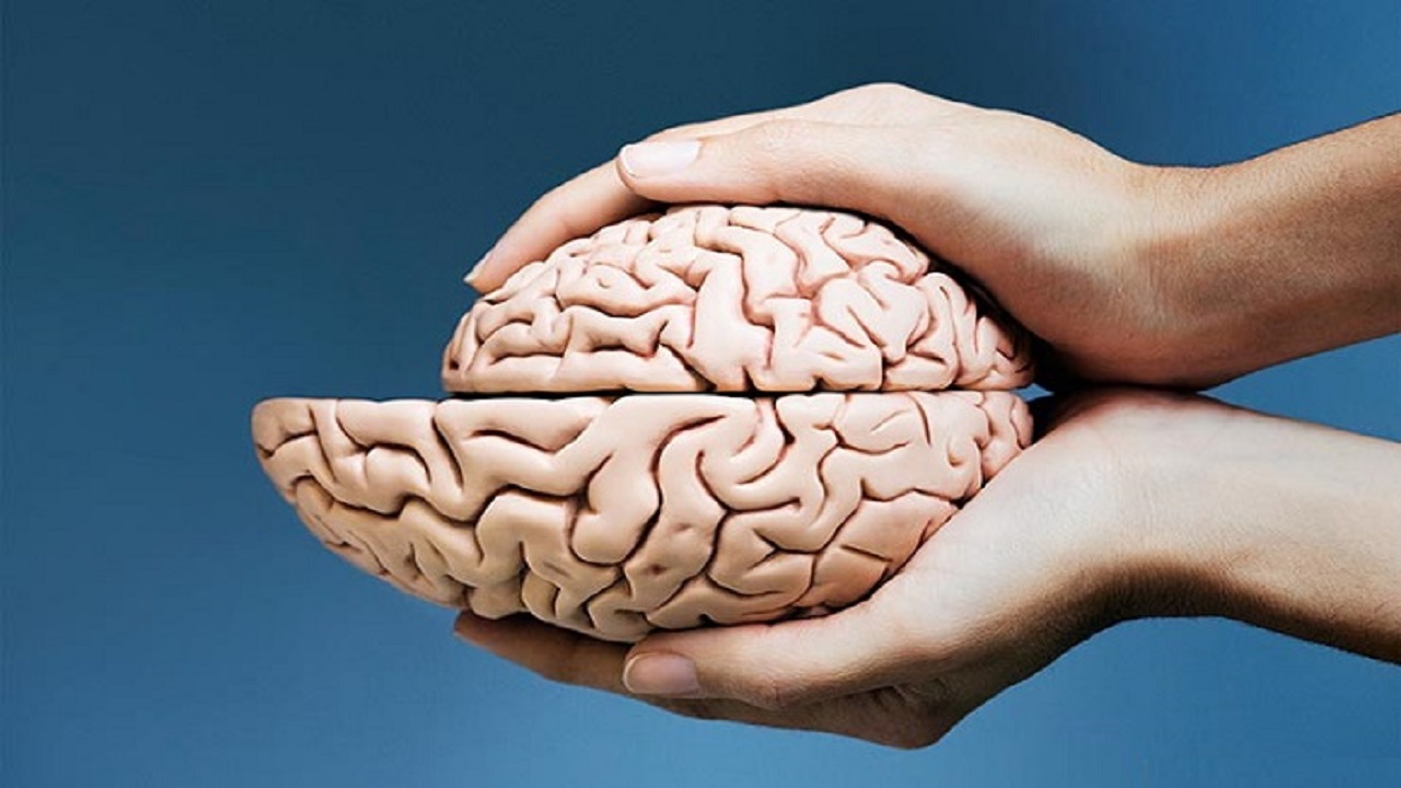 کوچک شدن مغز چیست؟