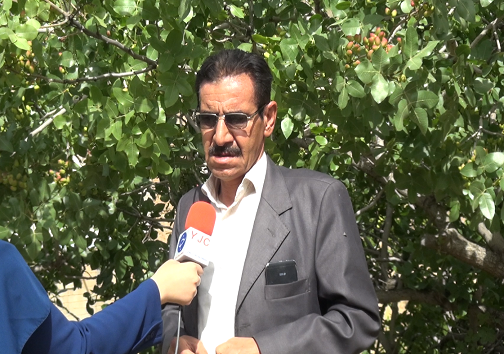 محمود پرویزی باغدار