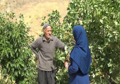 کاک علی&zwnj;محمد یکی از باغداران کردستانی