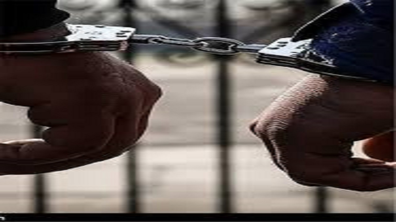 دستگیری متهم به سرقت طیور در تربت جام