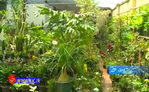 بازاری نشاط آور با کارآفرینی گل+فیلم