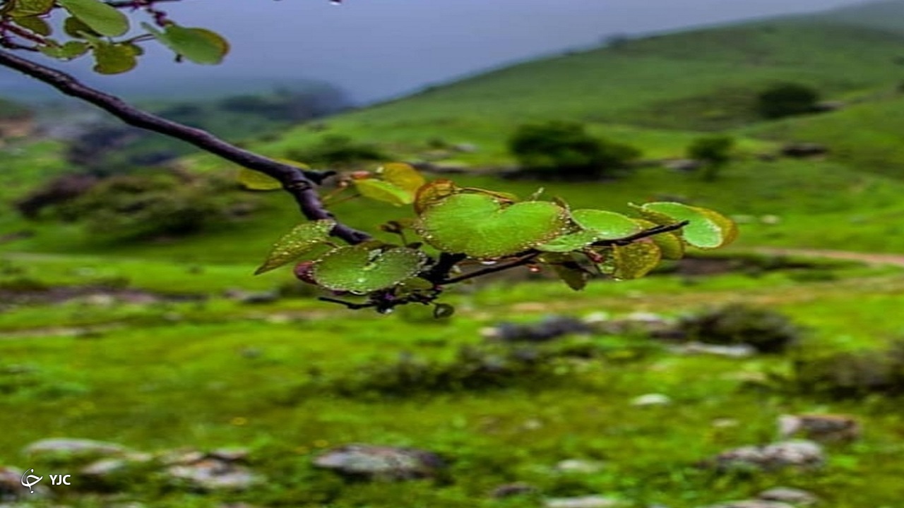 تصاویری بکر و زیبا از دره ارغوان واقع در درگز
