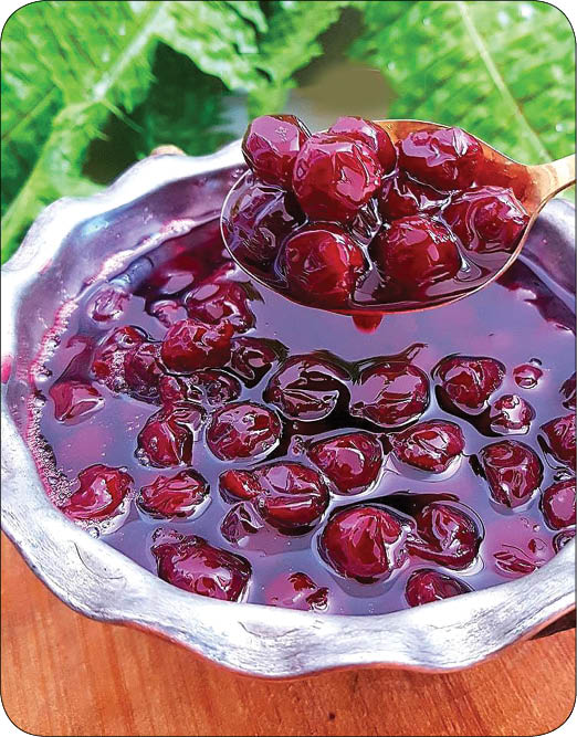 مارمالاد آلبالوی وانیلی، عصرانه روزهای گرم + طرز تهیه