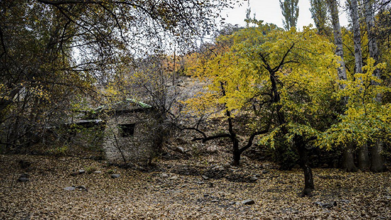 واریان