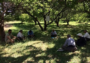 برگزاری دوره پرورش زنبور عسل در روستای شیلان آباد
