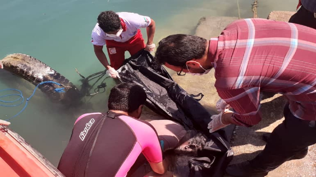 جسد مرد غرق شده در ساحل بوشهر کشف شد