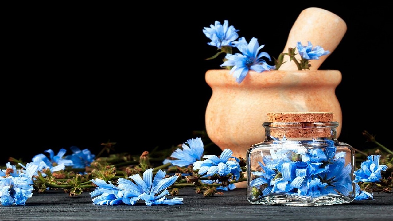 خواص شگفت‌انگیز کاسنی؛ از مبارزه با سرطان تا افزایش باروری