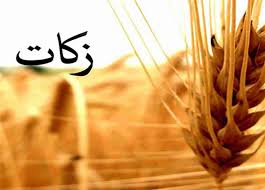 بهره برداری از ظرفیت زکات جهت رفع مشکلات نیازمندان کردستانی
