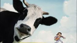 تصاویر بالگرد سقوط کرده روسی در منطقه روستوف