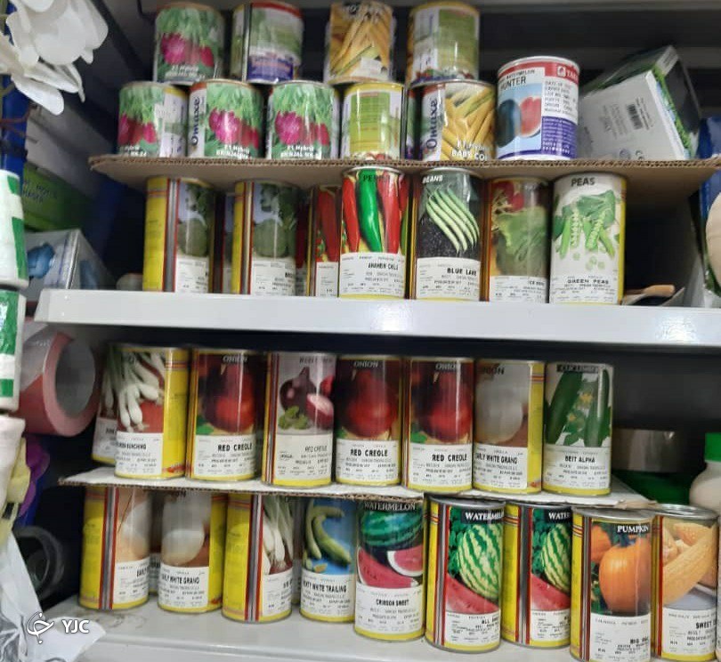 بذر، معدن طلای دلالان در جنوب کرمان