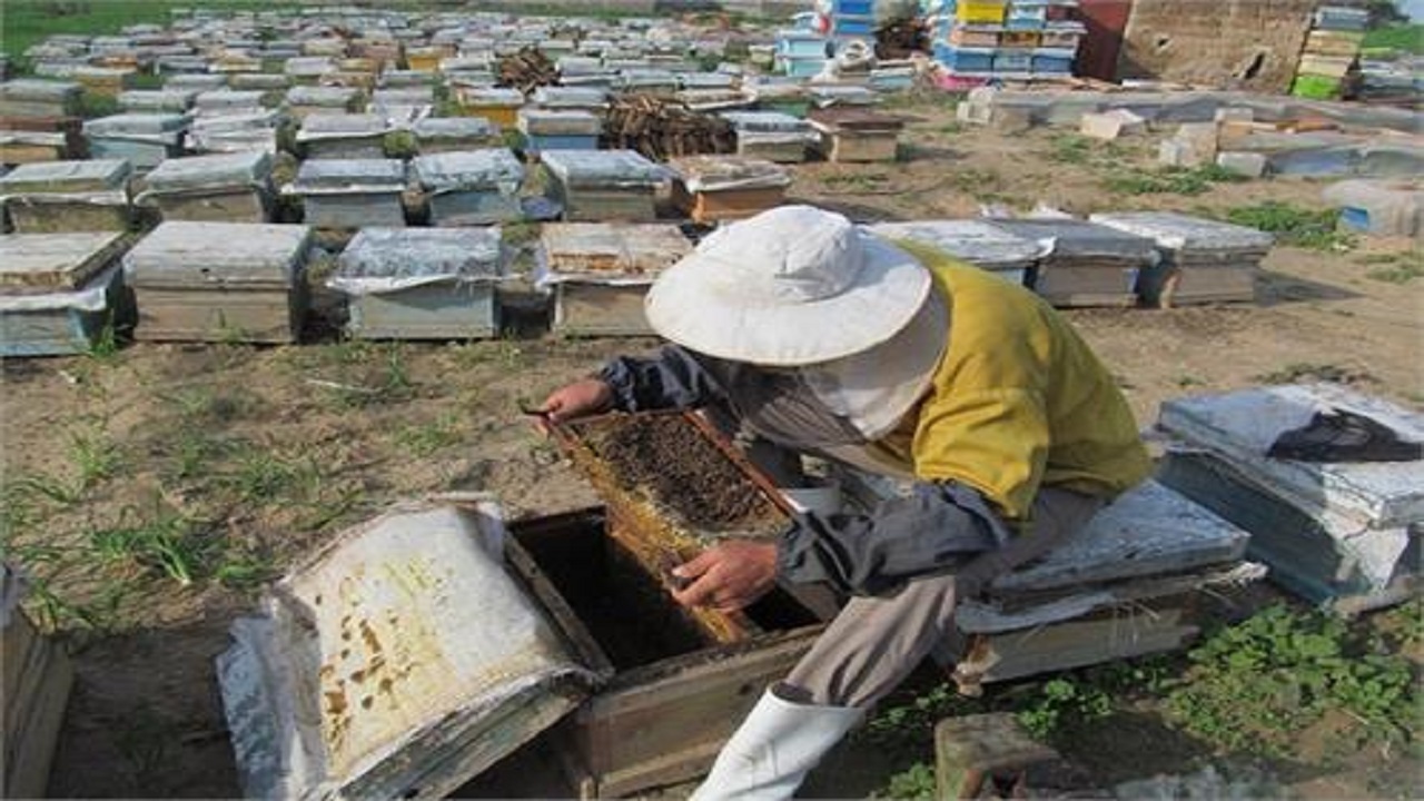 پرداخت ۶۰ میلیارد ریال تسهیلات اشتغال به مددجویان چهارمحال و بختیاری