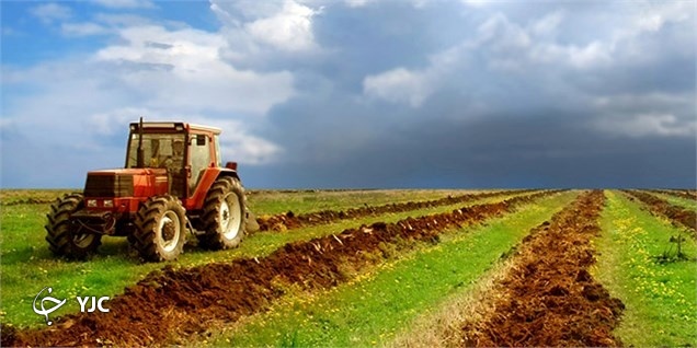 بذر، معدن طلای دلالان در جنوب کرمان