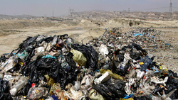 شناگران کثیف ساحلی