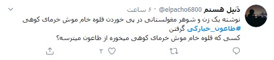 واکنش کاربران توئیتر به &laquo;طاعون خیارکی&raquo; / کرونا اگر نکشد، طاعون خیارکی حتما مرحله آخر است