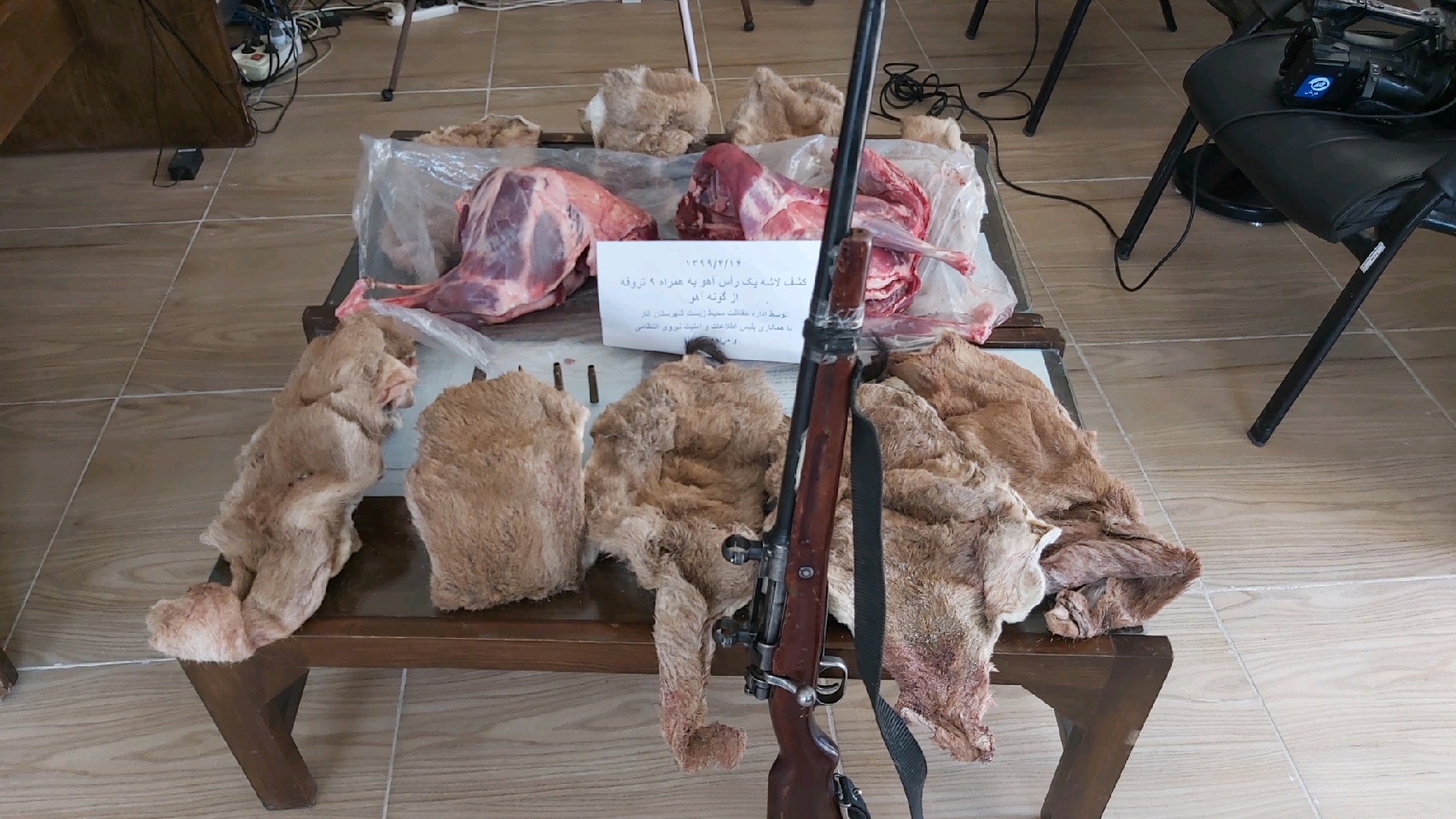 گرفتاری ۱۰ حیوان به دام شکارچی متخلف