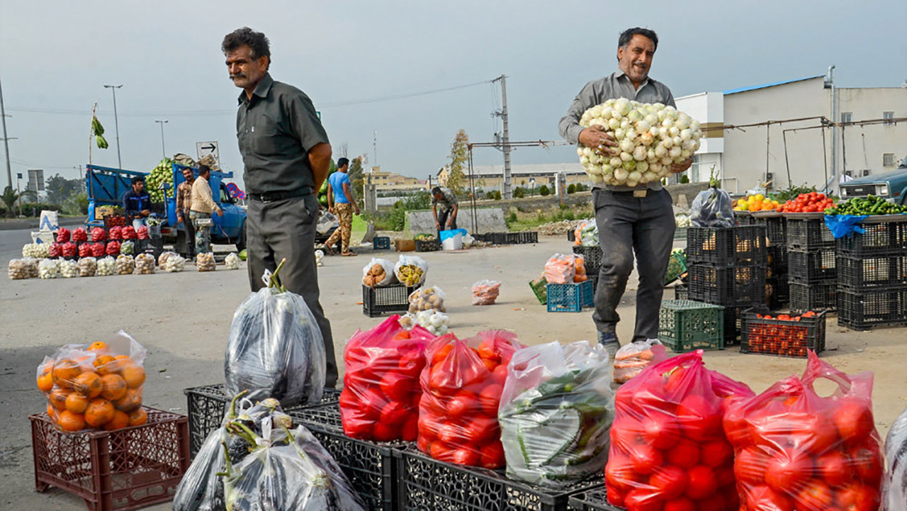 میوه فروشان محور‌های ورودی و خروجی گرگان ساماندهی می‌شوند