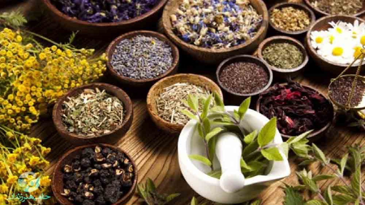 توسعه کشت ۲۰ گونه گیاه دارویی در دستور کار جهادکشاورزی خراسان جنوبی