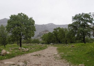 بازدید فرماندار اندیکا از منطقه شلال و دشتگل بخش مرکزی