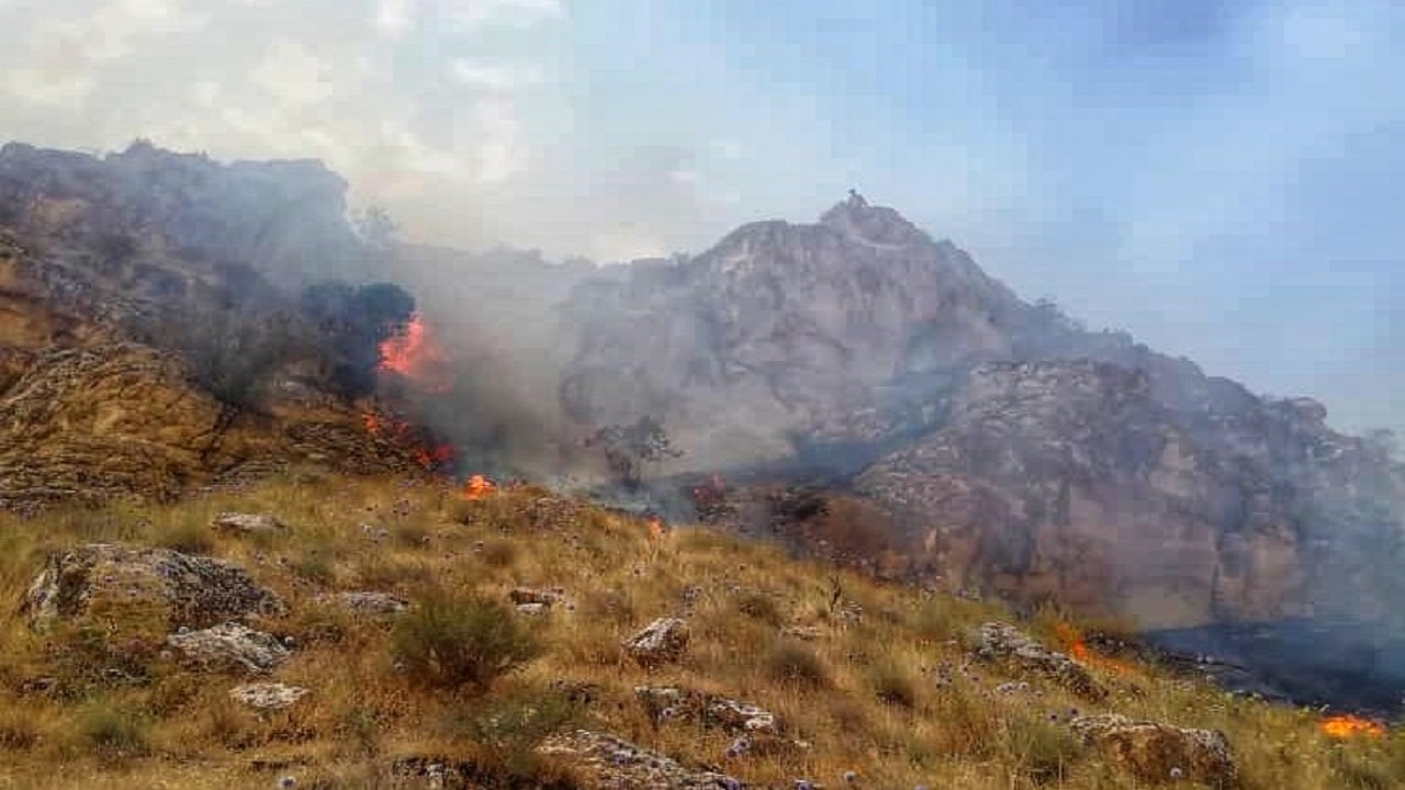 آتش سوزی در کوه‌های جم پس از مهار، دوباره زبانه کشید