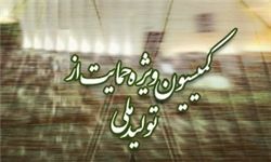 مخالفت مجلس با تشکیل کمیسیون ویژه حمایت از تولید ملی