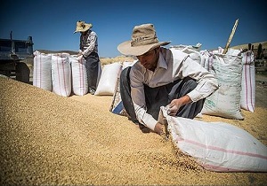 کردستانی‌ها ۲۲ میلیارد تومان زکات پرداخت کردند