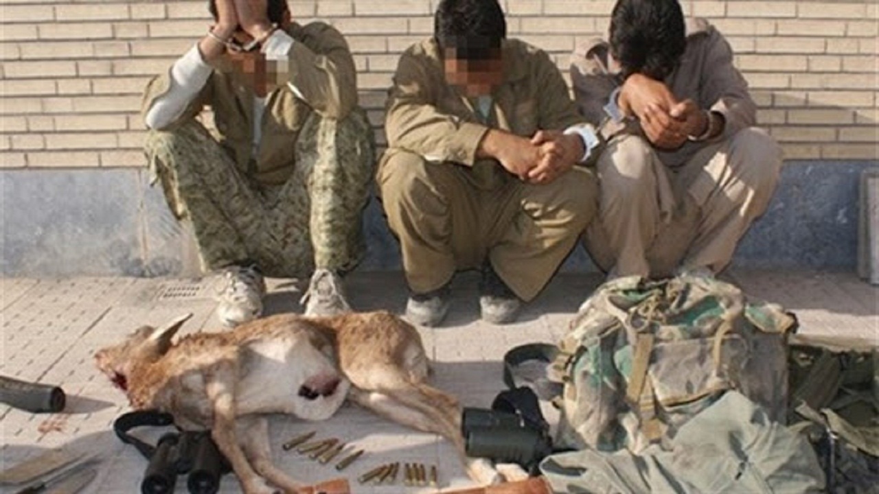 شکارچیان غیرمجاز در کاشمر دستگیر شدند