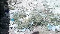 گلایه از وضع نامناسب بهداشت در روستای شهرک امام حسین(ع) + فیلم