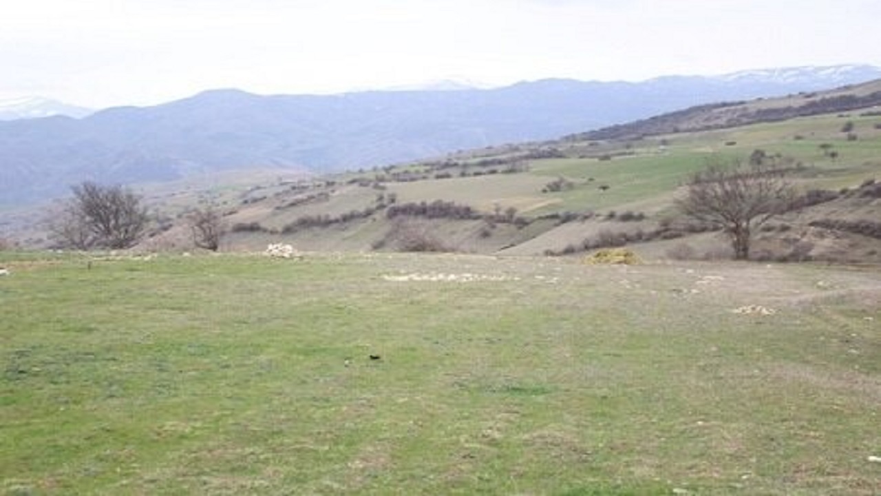 سرعت بخشیدن به اقدامات منابع طبیعی با محوریت جهش تولید‎