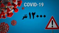 استفاده نکردن از ماسک، معضلی که همچنان ادامه دارد + فیلم
