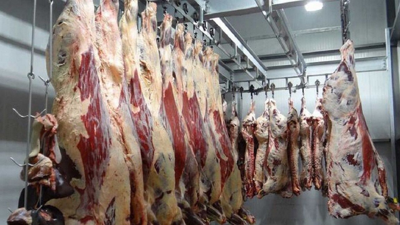 شناسایی ۱۶بیمار مشکوک به تب کریمه کنگو در تربت‌جام