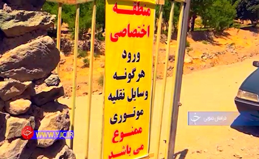 هندوانه وحشی با خواص دارویی بسیار+فیلم