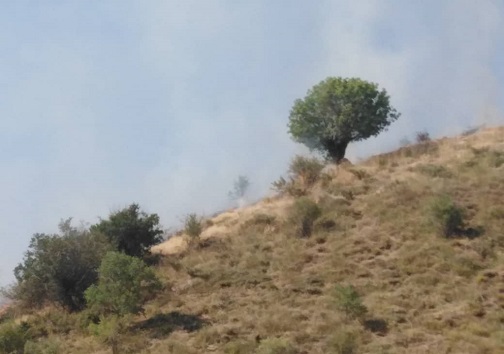 آتش سوزی منطقه گردشگری دنا