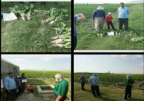 برگزاری کلاس آموزشی و ترویجی چغندر قند در روستای قره قشلاق