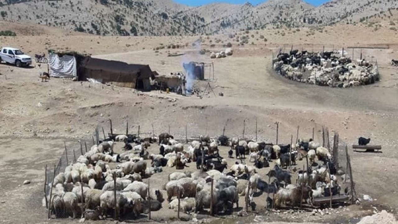 سر شماری مسیری برای حل مشکلات  عشایر استان سمنان