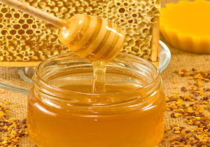 برداشت ۷۳۰۰ تن محصول عسل در استان اردبیل