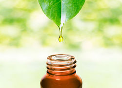 هیچ روغن گیاهی کلسترول ندارد + فیلم