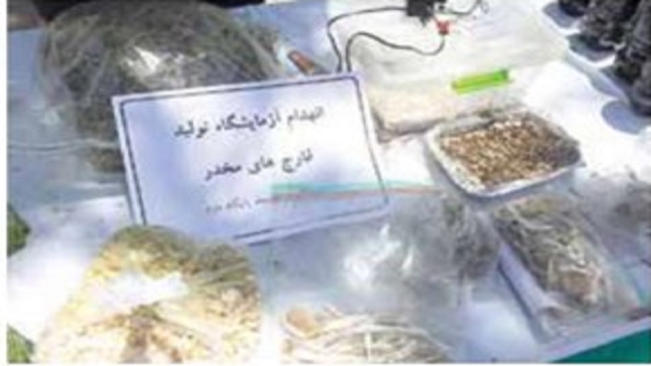 کیک گل و قارچ سمی سوغات جدید سوداگران مرگ