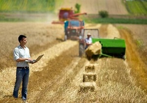 سکونت ۸۴۲ فارغ التحصیل کشاورزی در روستا‌های کرمانشاه