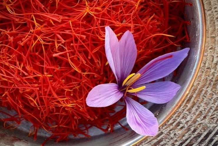آغاز کوچ زعفران از جنوب خراسان/ زحمت از ماست، برند برای اسپانیا