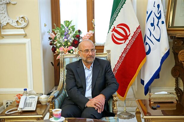همکاری دوجانبه دومای روسیه و مجلس شورای اسلامی را مهم می‌دانیم