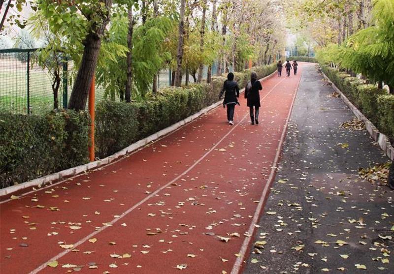 پیگیری مدیرمجموعه انقلاب از برخورد نامناسب با سهیلا منصوریان