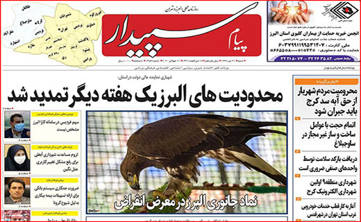 بلاتکلیفی کنکوریها در بحبوبه شیوع کرونا/ واقعا مشکلات حل می شود؟/ عقب نشینی اجاره نشین ها