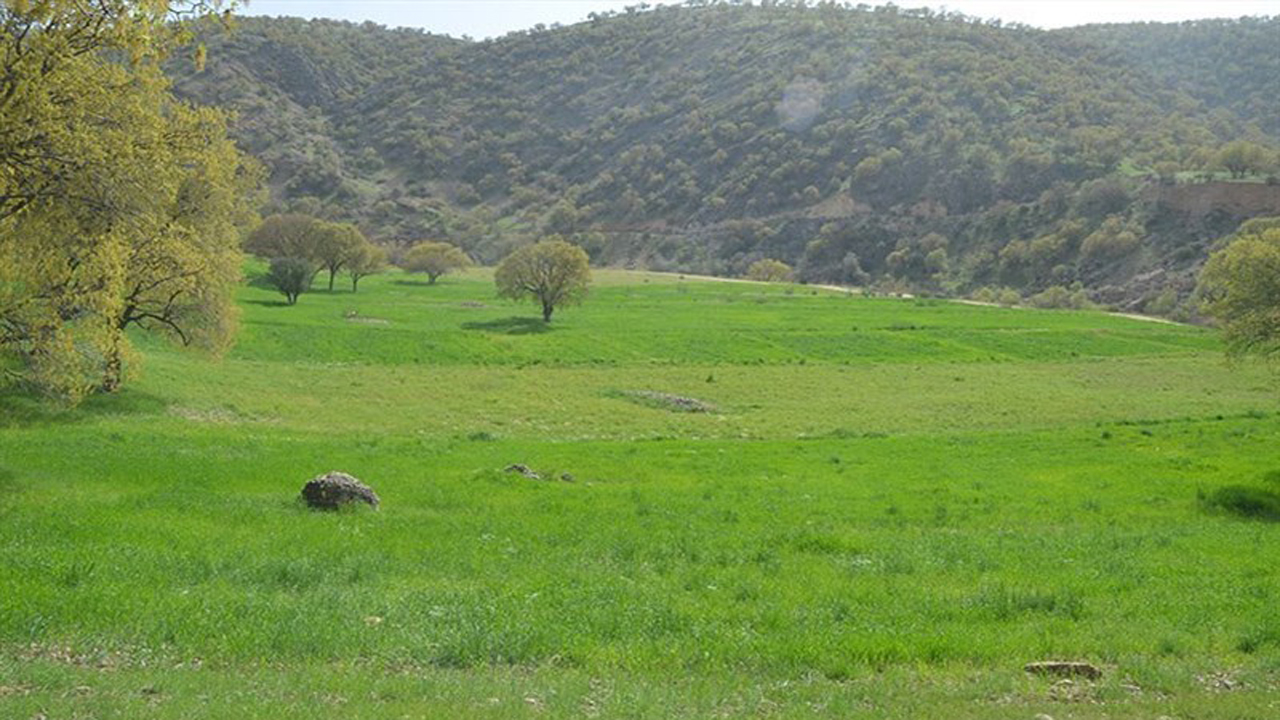 زمین خواری ۹ هزار مترمربعی در روستای چهارباغ گرگان/ صدور کیفرخواست برای عضو سابق شورای روستا